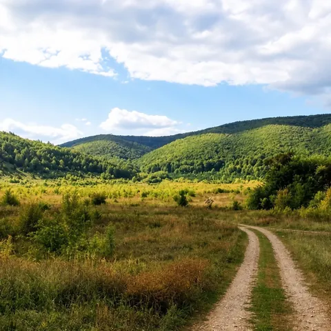 Село Ширяево в устье оврага между рекой и горами