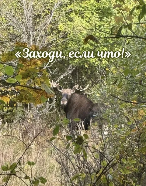 Стрельная гора — фото 6 из 13