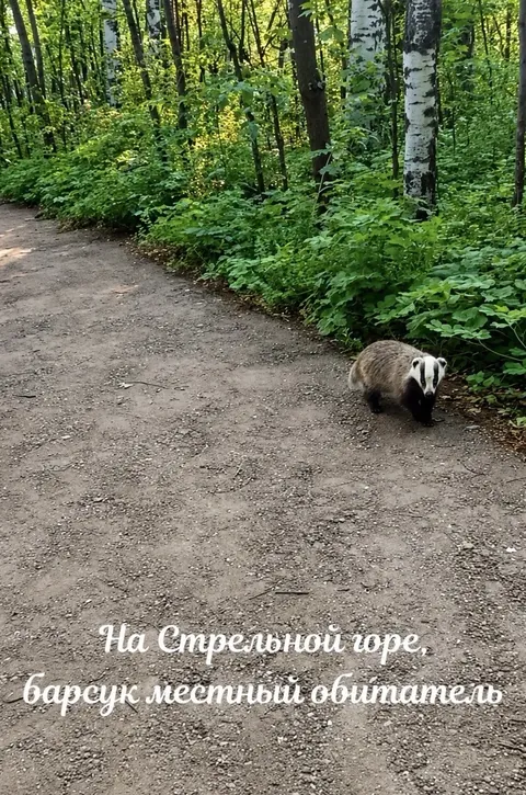 Стрельная гора — фото 3 из 13